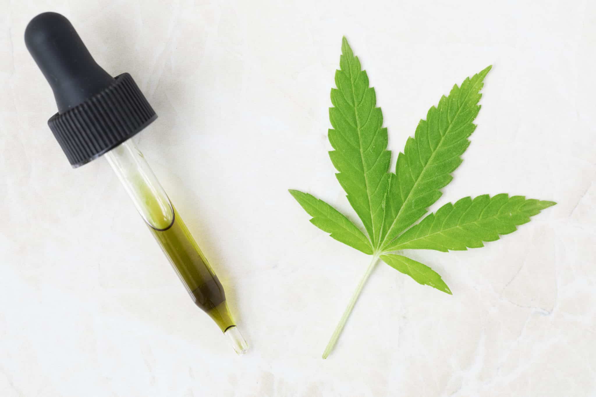 Tout ce qu’il faut savoir sur l’huile de CBD