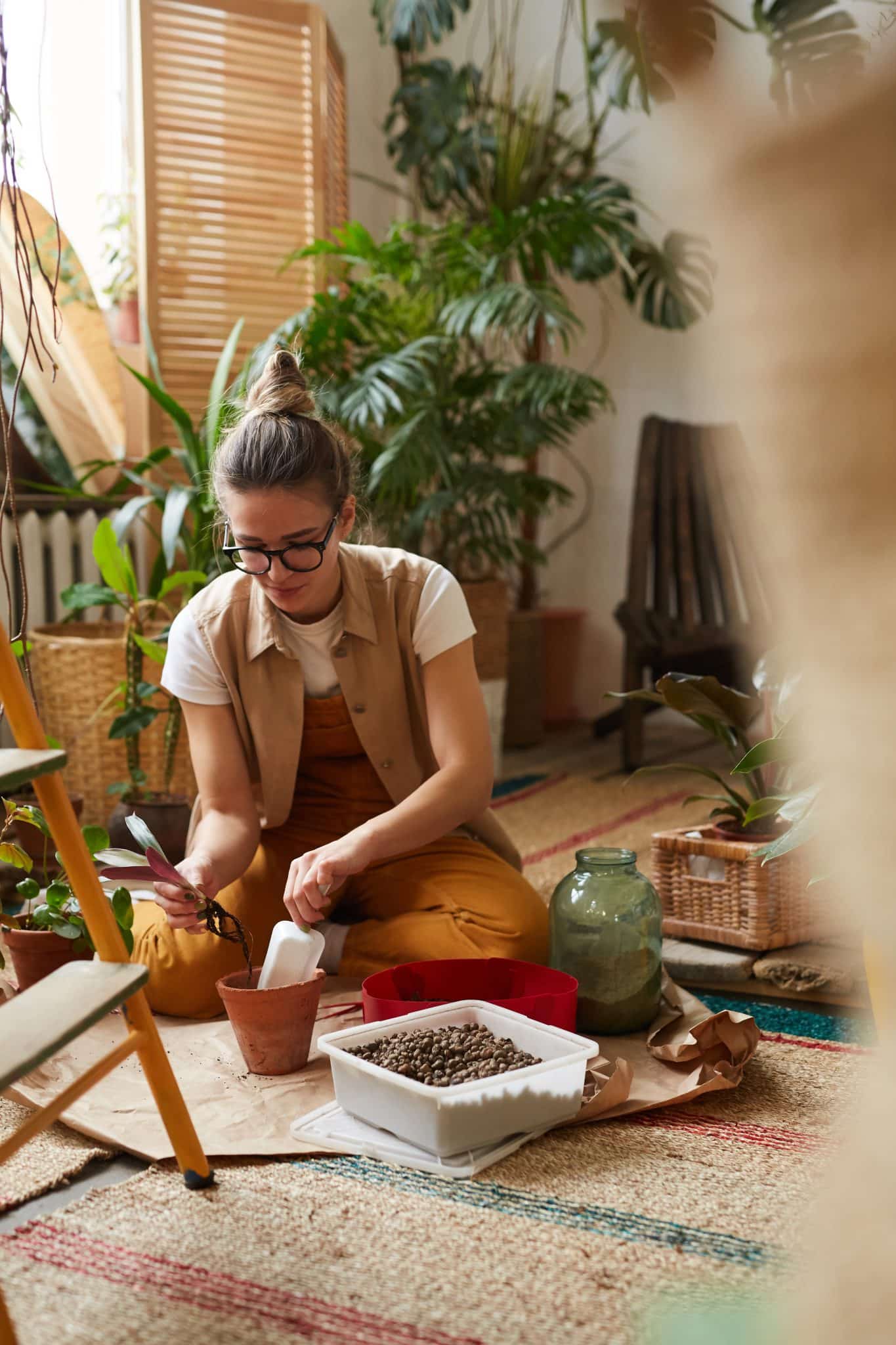 Quelles sont les différentes sortes de plantes naturelles thérapeutiques ?